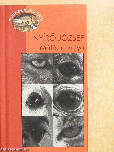 Máté, a kutya