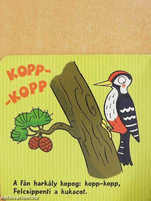 Ismerkedem a hangokkal - Az erdőben