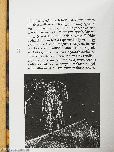 Rileksz: Phanie Comingson füves könyve