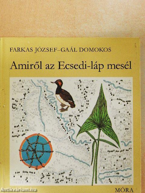 Amiről az Ecsedi-láp mesél