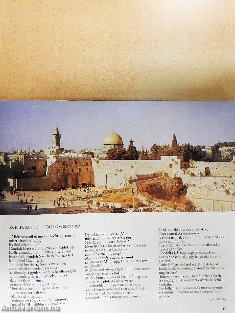 A hely, ahol állsz, Szent Föld