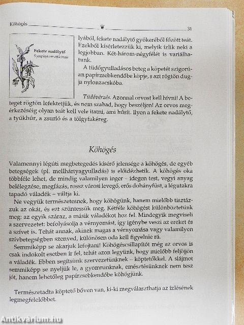 Lajos atya tanácsai