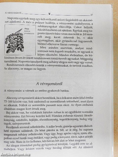 Lajos atya tanácsai