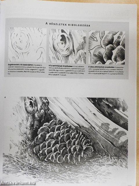 A ceruzarajz alapjai lépésről lépésre