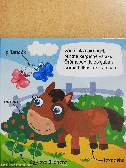 Séta a farmon szókincsfejlesztő