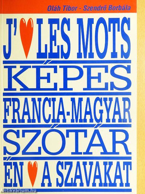 Képes francia-magyar szótár