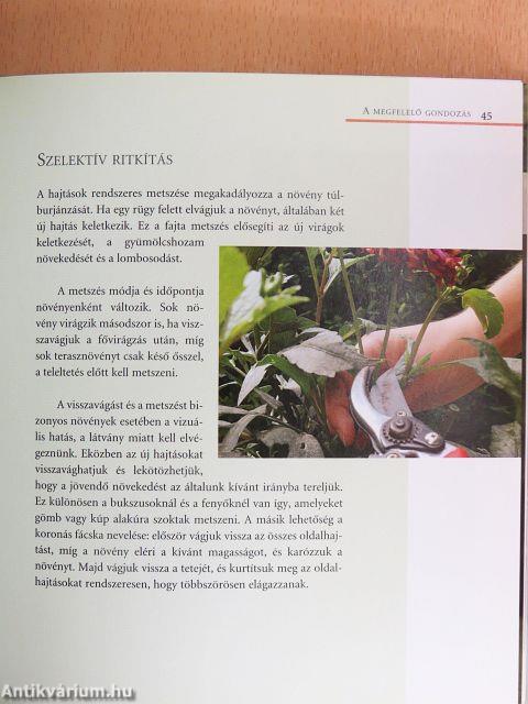 Balkon- és terasznövények lexikona