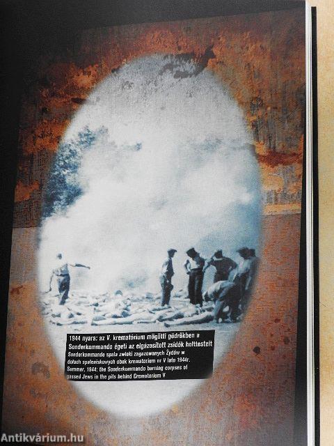 Az elárult állampolgár