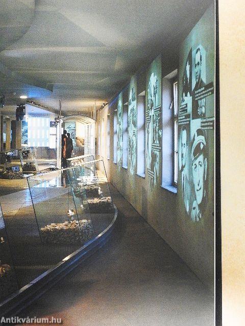 Az elárult állampolgár