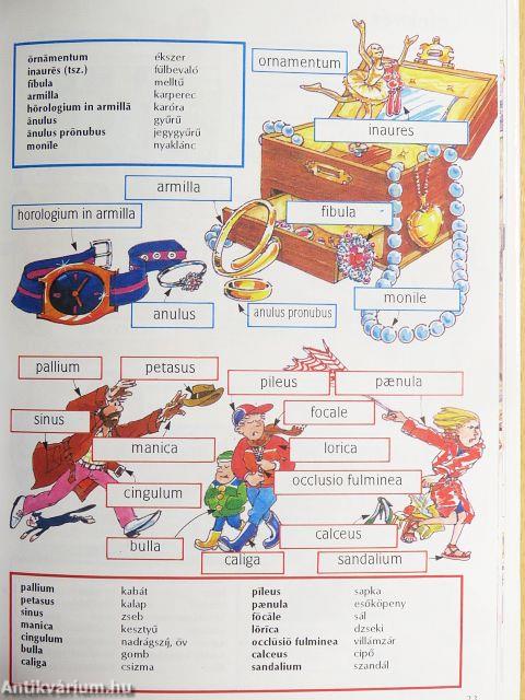 Kezdők latin nyelvkönyve