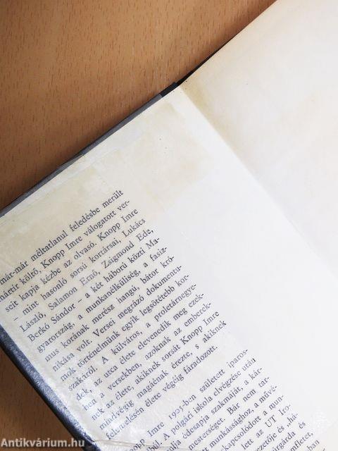 A Calvin-téri ballada