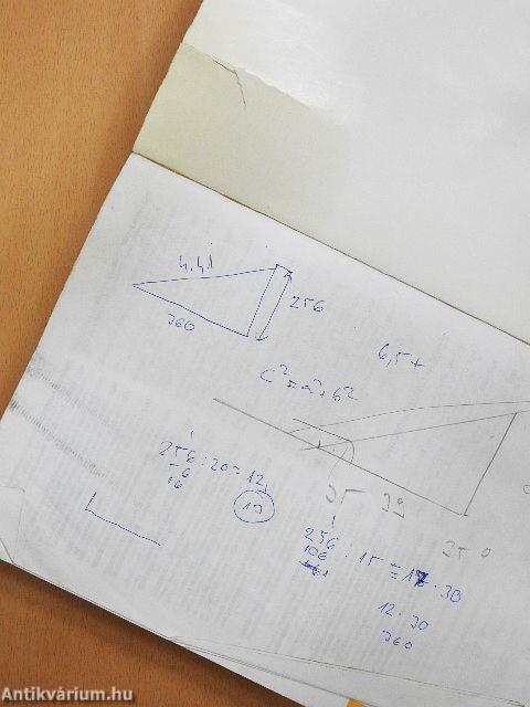 Asztalos 2. (rossz állapotú)