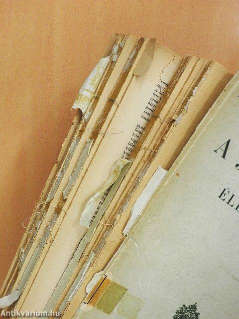 A Jászság életrajza (rossz állapotú)