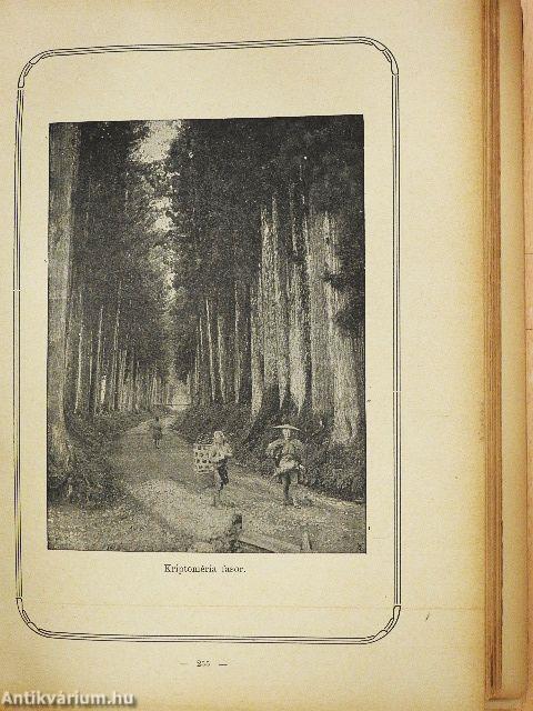 Dai Nippon (rossz állapotú)