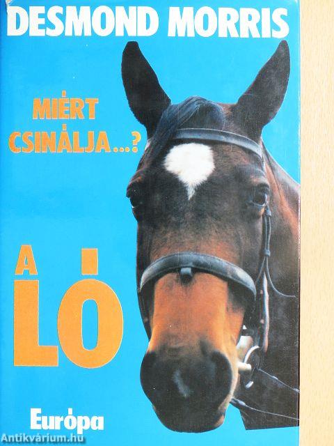 Miért csinálja...? A ló