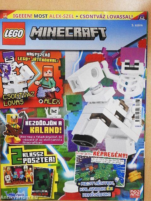 LEGO Minecraft 5.
