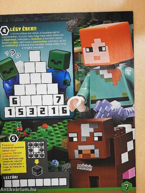 LEGO Minecraft 5.