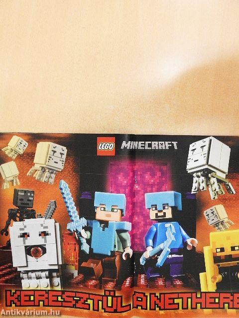 LEGO Minecraft 5.