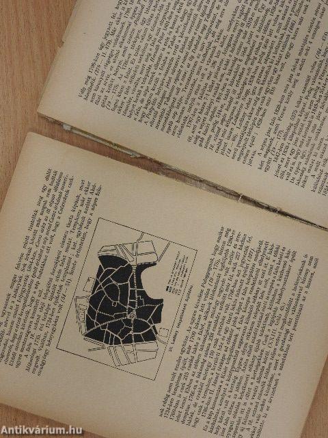 A Jászság életrajza (rossz állapotú)