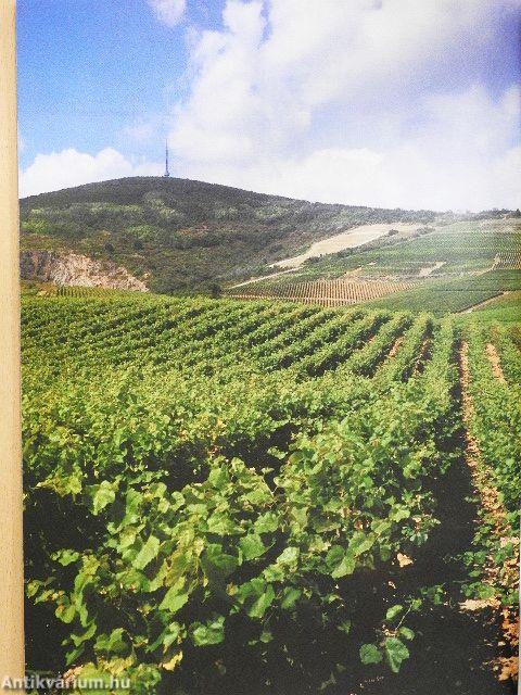 Világörökségek Magyarországon