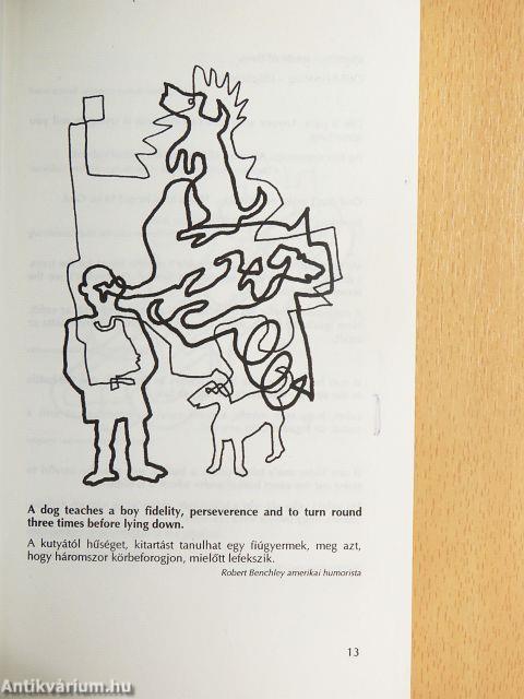 Csitt! Egy fehér lovat hallok közeledni