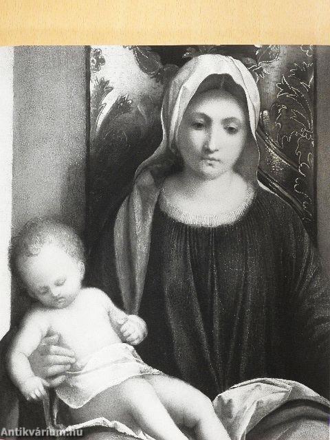 Giorgione - Mythos und Enigma