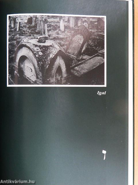 Zsidósors Délkelet-dunántúlon