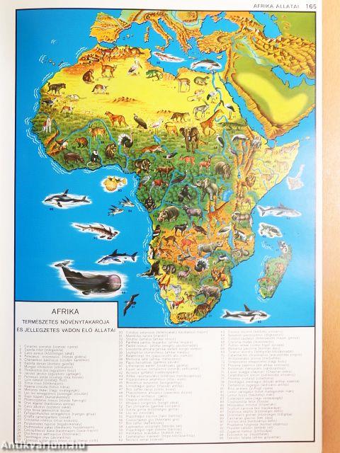 Földrajzi világatlasz