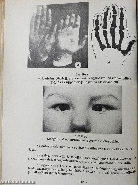 Genetika gyakorlatok