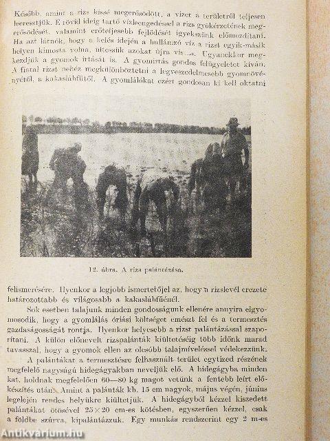 Részletes növénytermesztés