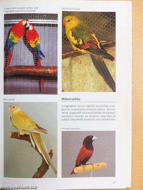 Díszmadarak enciklopédiája