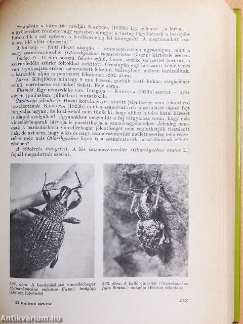 Kertészeti kártevők