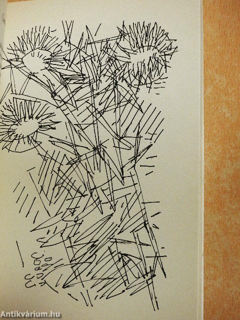 Csalánok és ibolyák