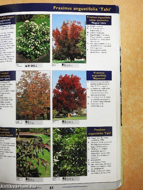 Lombos fák, cserjék