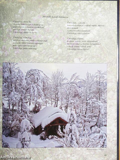 Erdély-Magyar zsoltár