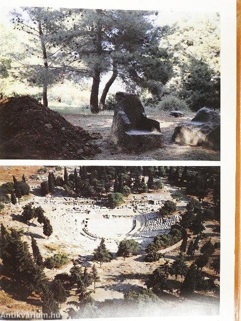 The Ancient Greek Theatre