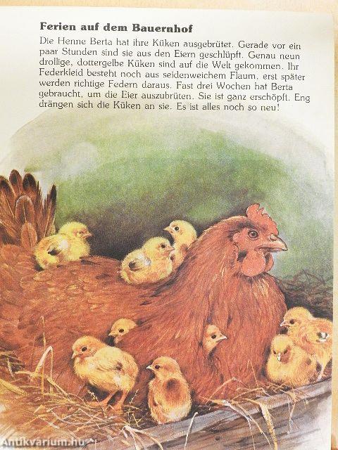 Mein großes Tierbuch