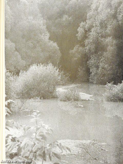 Nimród 1974. január-december