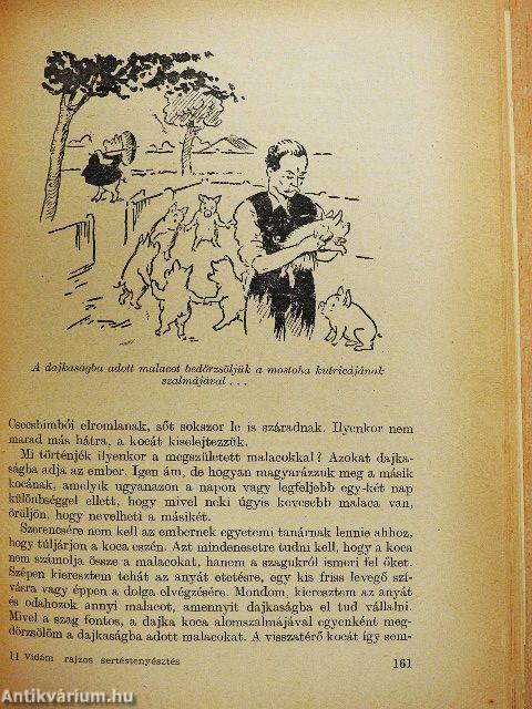 Vidám rajzos sertéstenyésztés