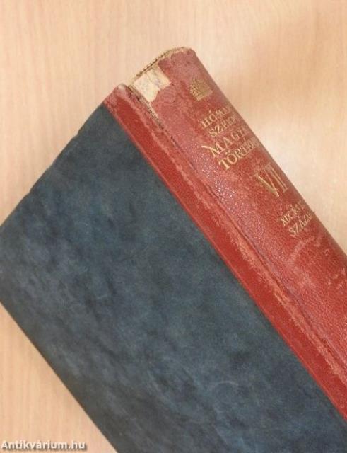 Magyar történet VII.