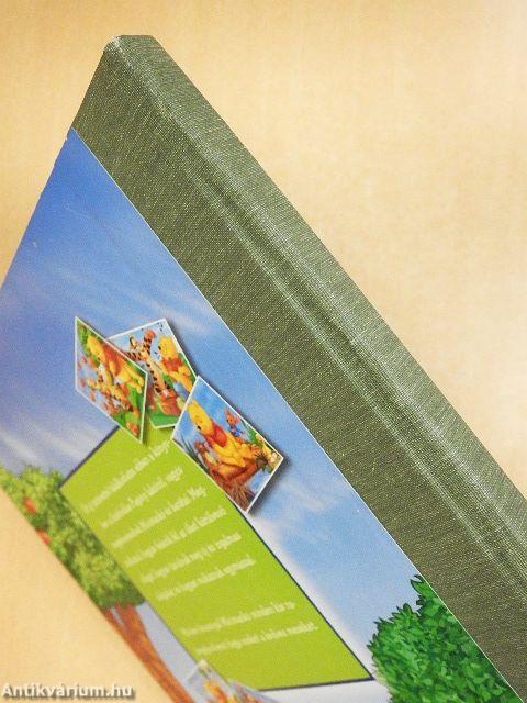 Micimackó újabb kalandos történetei