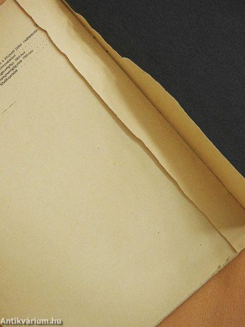 Biharvármegye központi járásának ismertetése (rossz állapotú)