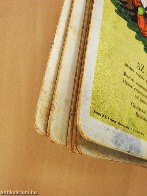 Tányértalpú koma új képeskönyve (rossz állapotú)