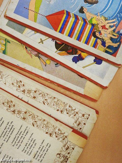 Tányértalpú koma új képeskönyve (rossz állapotú)