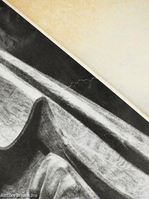 Művészet 1964. január-december