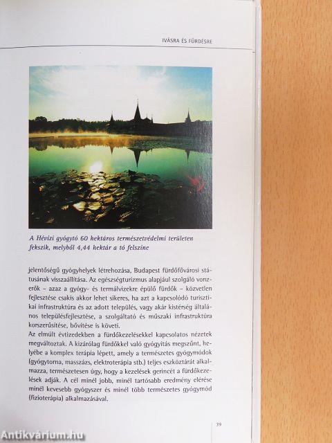 Ásványvizek könyve