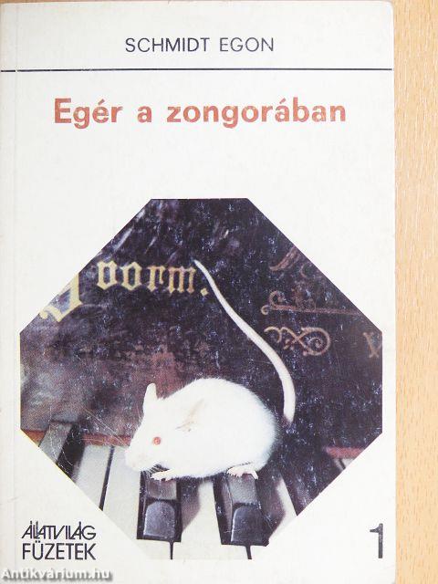 Egér a zongorában
