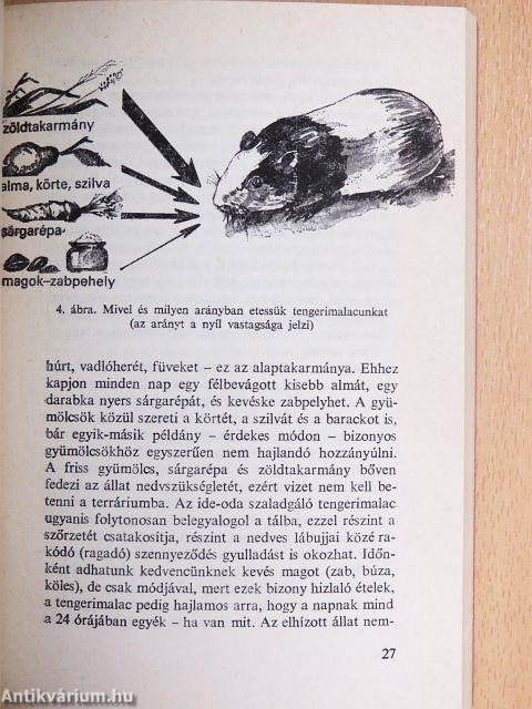 Egér a zongorában