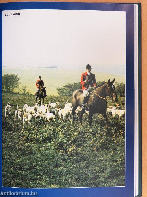 A kutyaszív hangjai