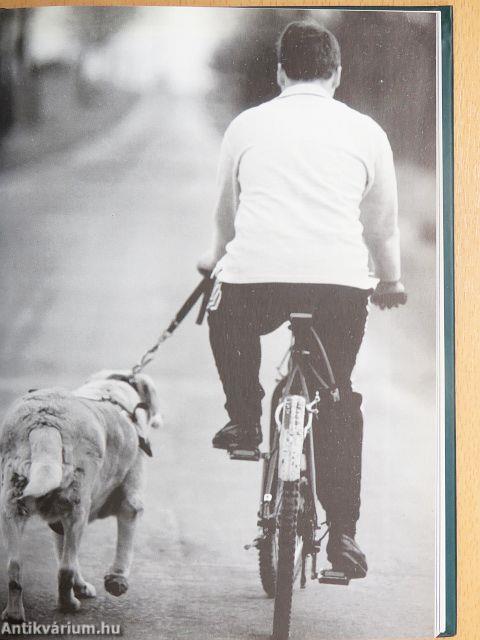 A kutyaszív hangjai